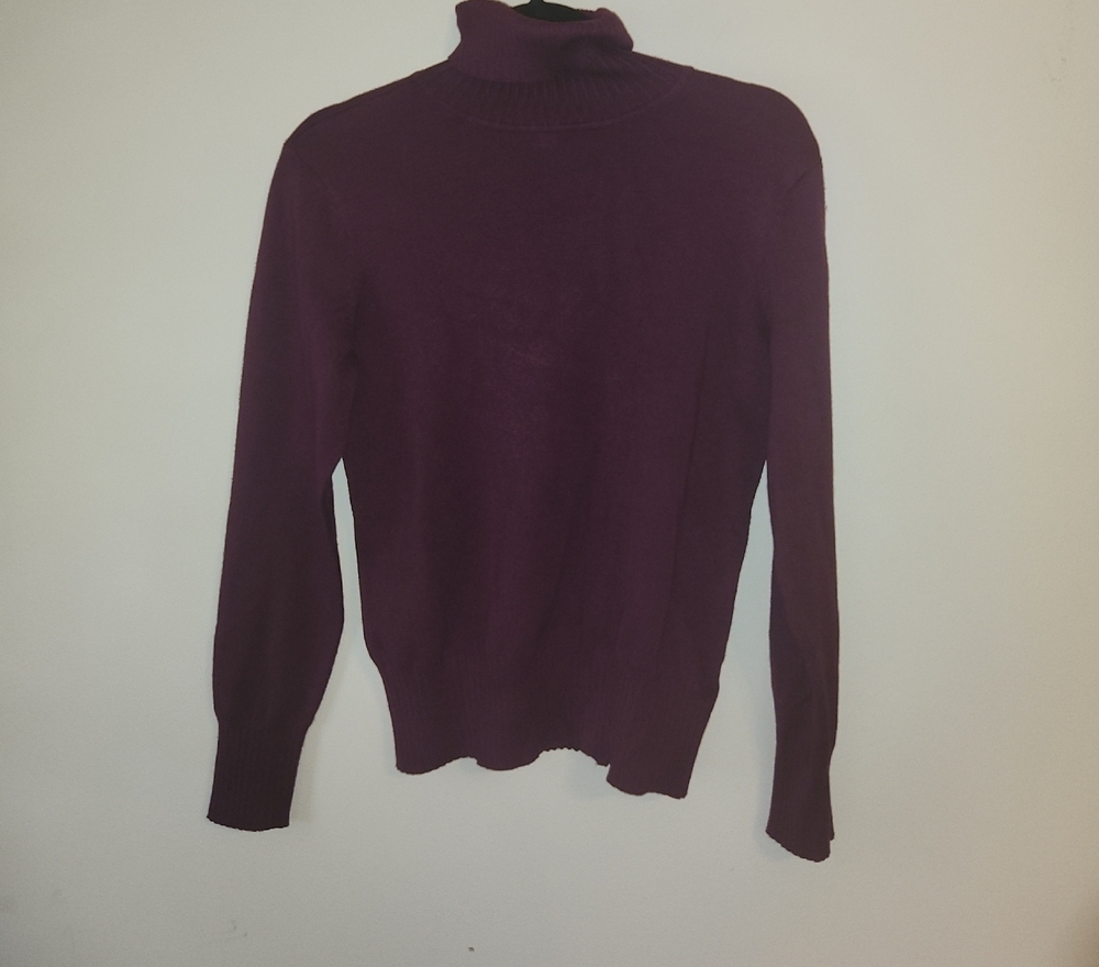 Time and Tru Women's Purple Turtleneck Sweater